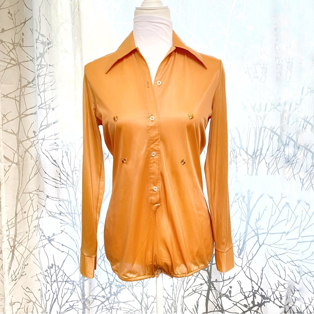 Vintage blue swan skirtikins tan brown collared button up floral bodysuit top
